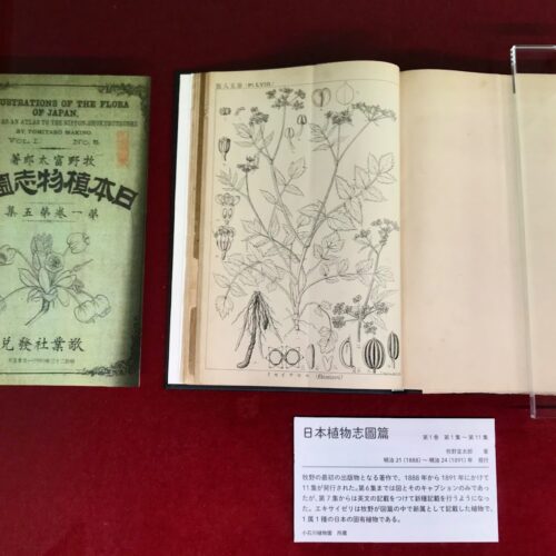 ●01)【同梱不可】日本植物研究の歴史 小石川植物園三〇〇年の歩み/大場秀章/東京大学総合研究博物館/1996年/A ○01)【同梱不可】日本植物研究の歴史 小石川植物園三〇〇年の