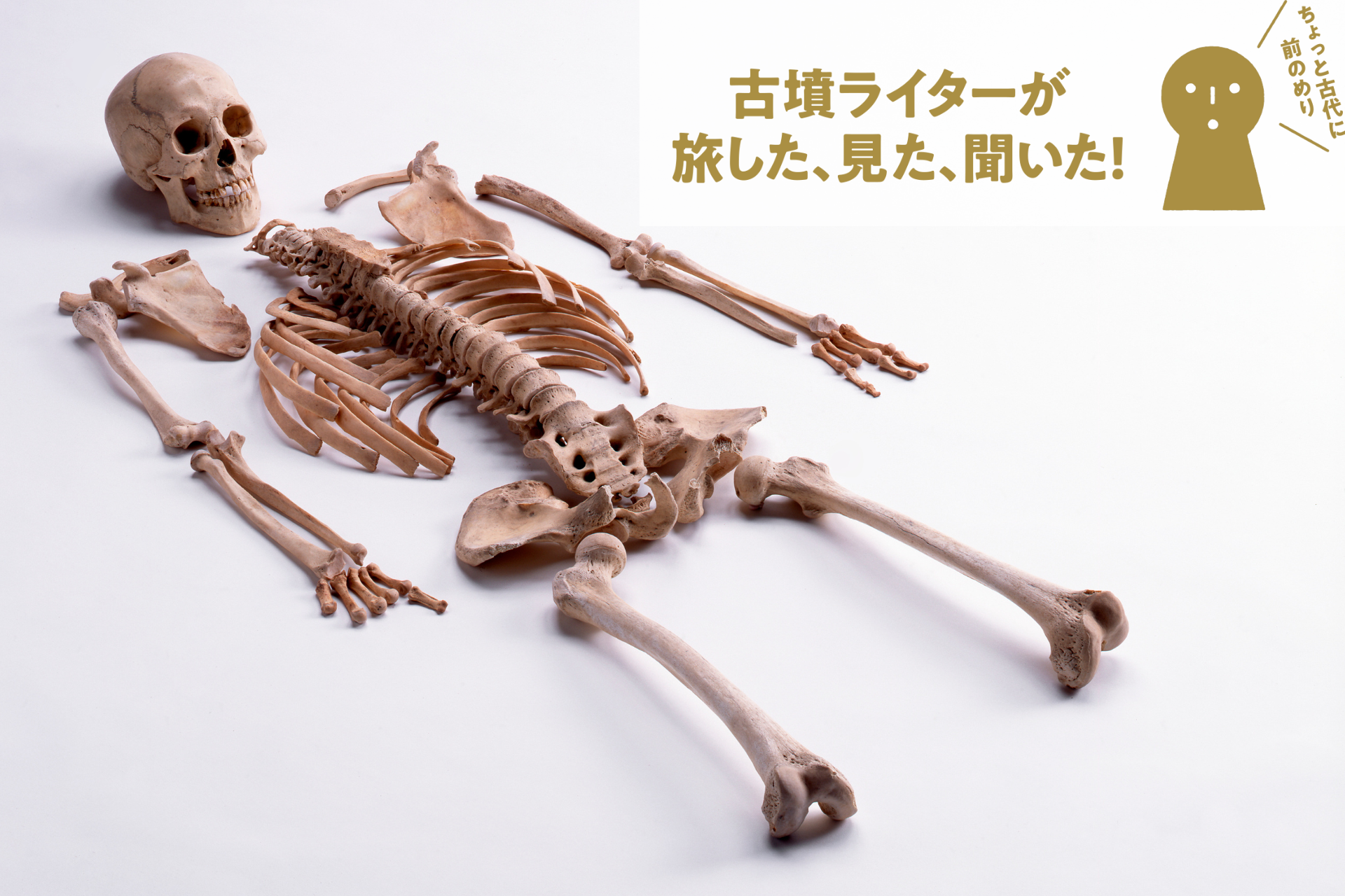 骨は確かな履歴書、古代の骨から見える人の暮らしと人生模様【古墳