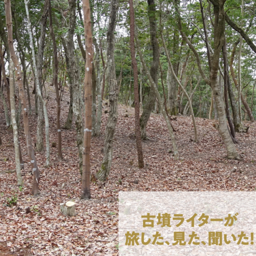 3人の少年たちが大人になって叶えた考古学の夢。島根県で貴重な前方後